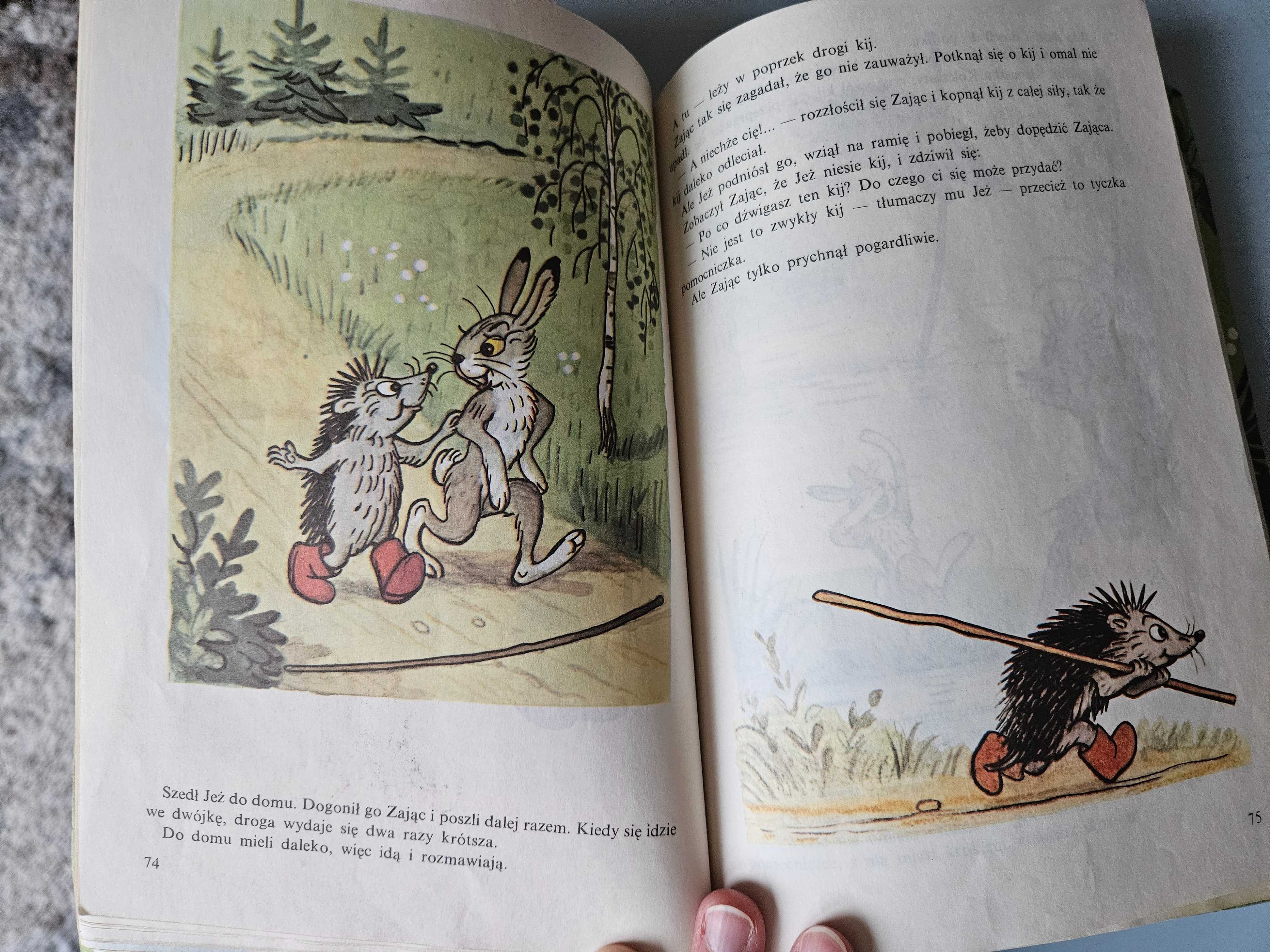 Książka Bajeczki z obrazkami W. Sutiejew