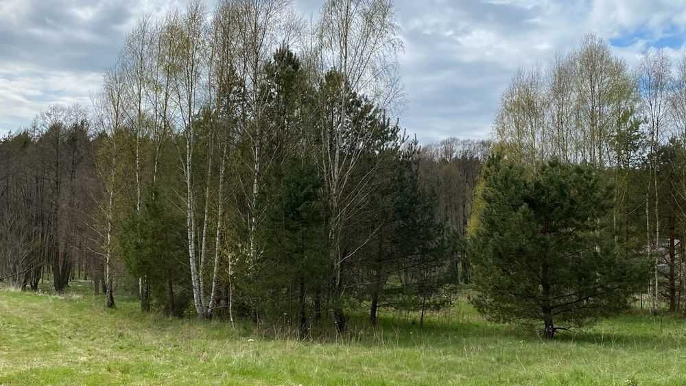 Piękna działka budowlana Kostkowo graniczy z lasem i strumykiem
