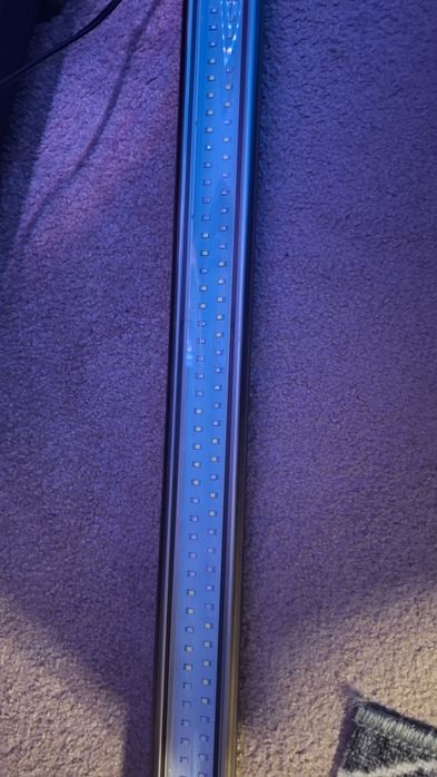 Belki ledowe  na akwarium