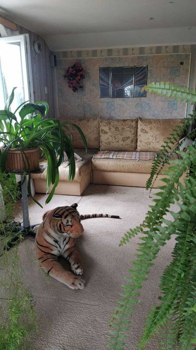 Продам дом с.Светлое, СТ"Свитанок", новые дачи,