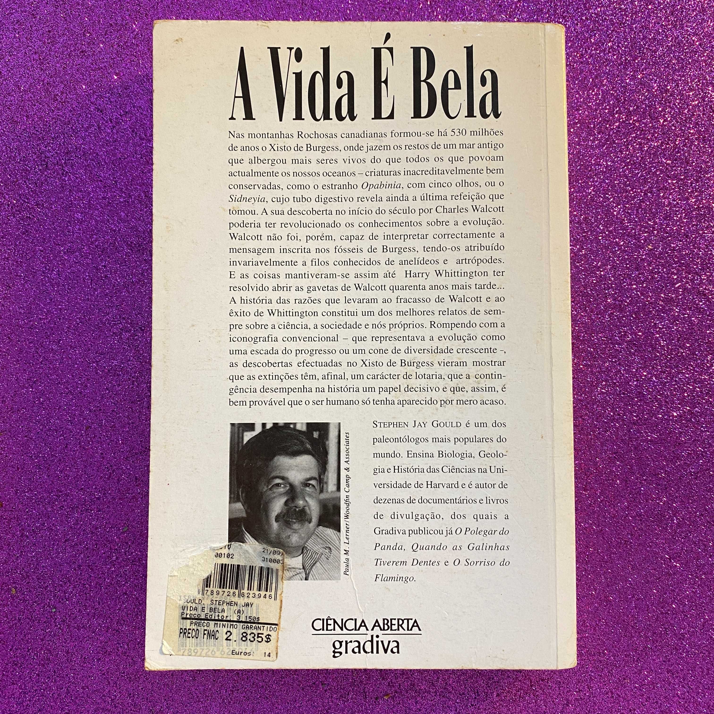 A Vida é Bela - Stephen Jay Gould (portes incluídos)