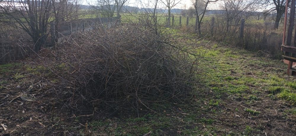 Gałęzie gałęziówka opał drewno owocowe daniele