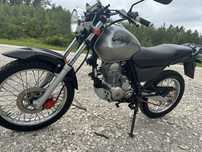 Piekna  cityfly clr 125 na grzyby i na ryby
