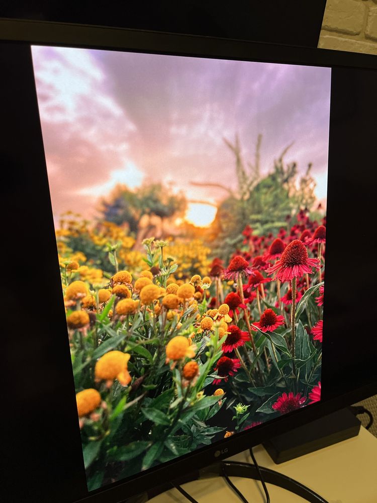 Monitor LG Ultra Fine OLED PRO 32EP950-B 4K UHD