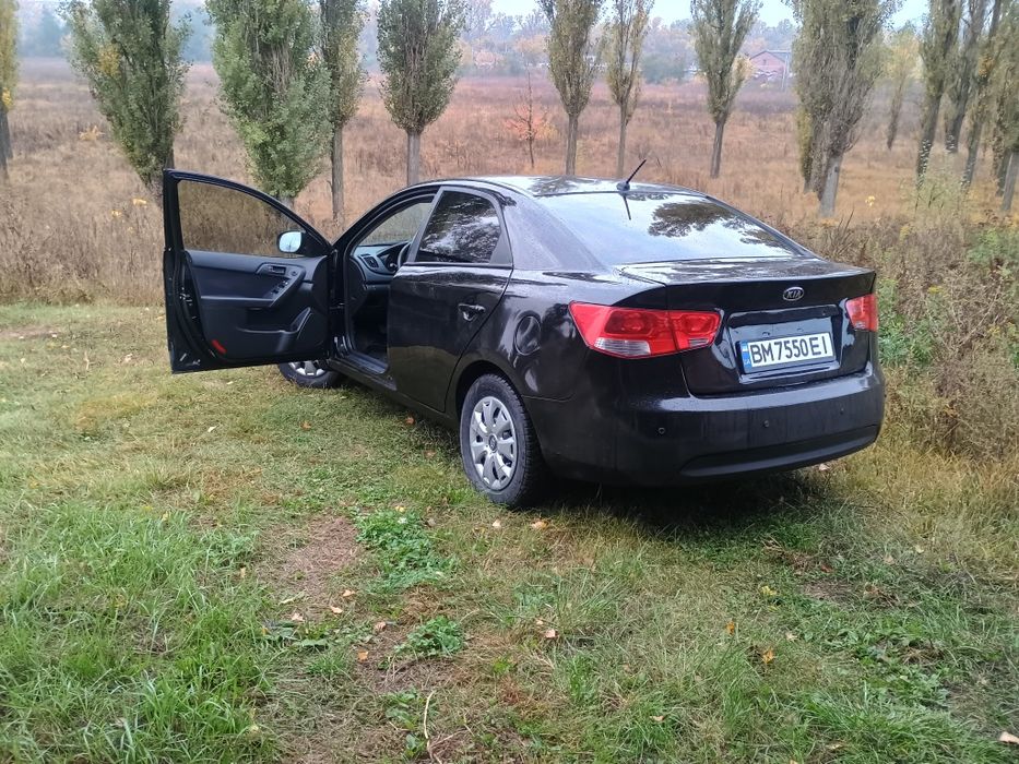 Kia cerato II 2009 рік