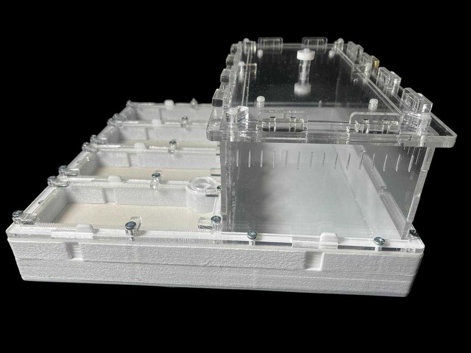 Мурашина ферма' 30×30см –  мурахи Harpegnathos | 2500 грн | нова пошта