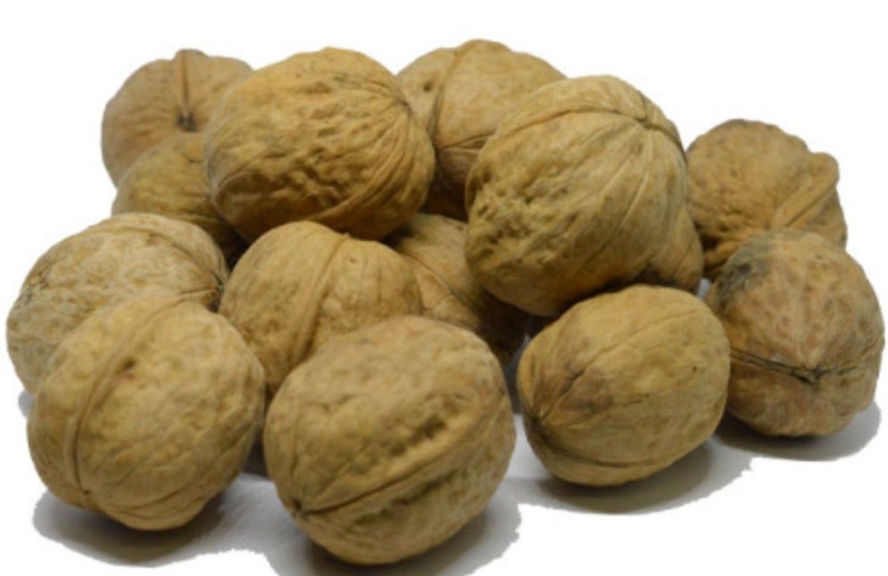 Продам горіхи сухі