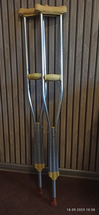 Костели  продам .