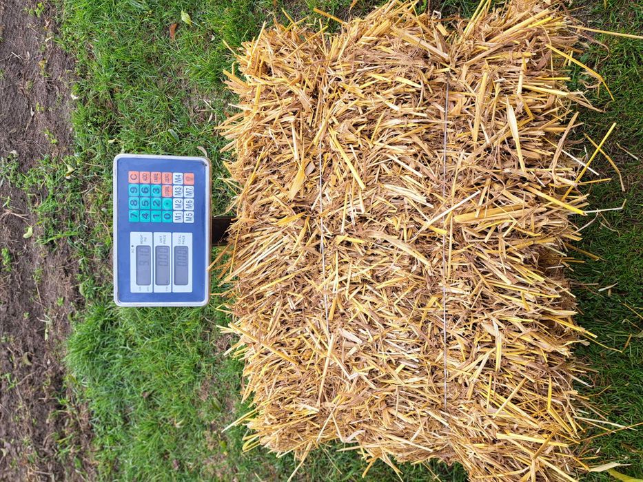 Sprzedam slome mala kostka