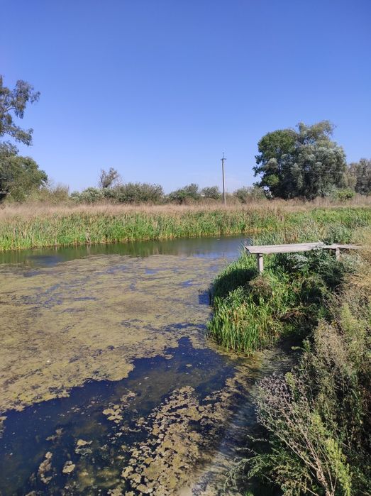 Продам дім. С. Данівка. Козелець