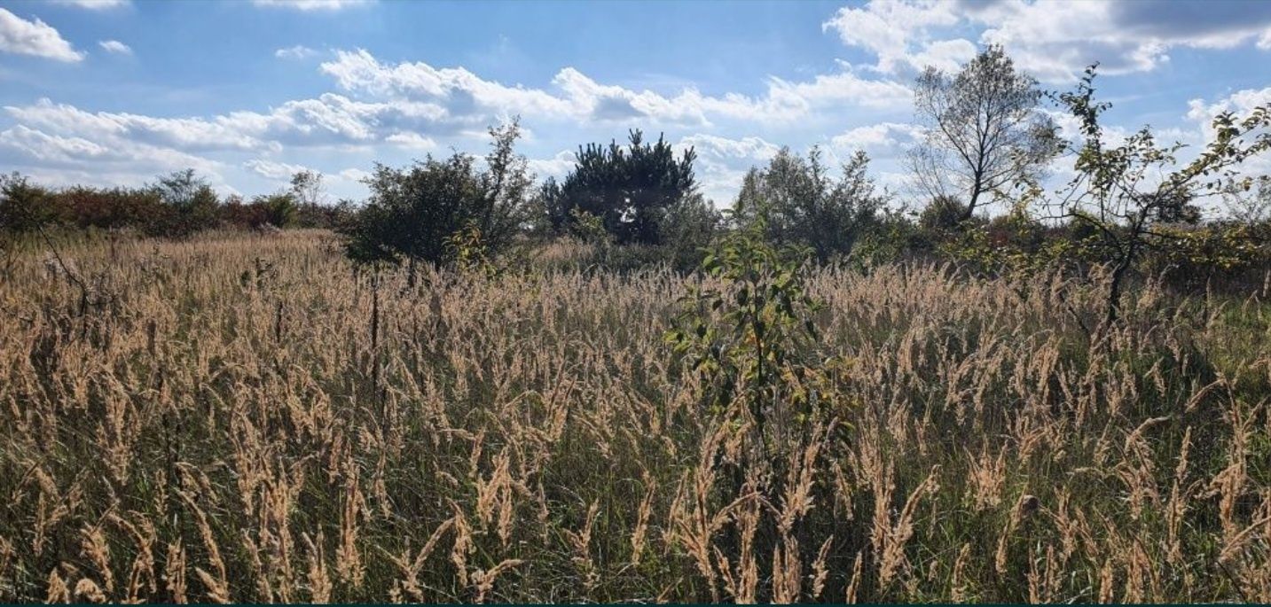 Земельна ділянка Зимна Вода