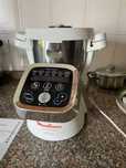 Moulinex companion
