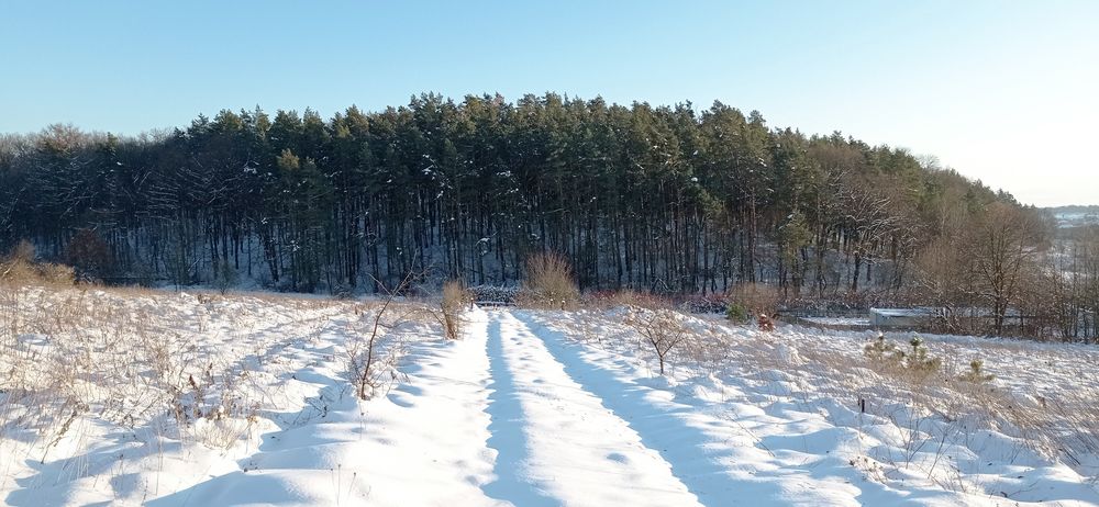 Ділянка 10сот.с.Селисько 14км.до м.Львів Солонківське ОТГ
