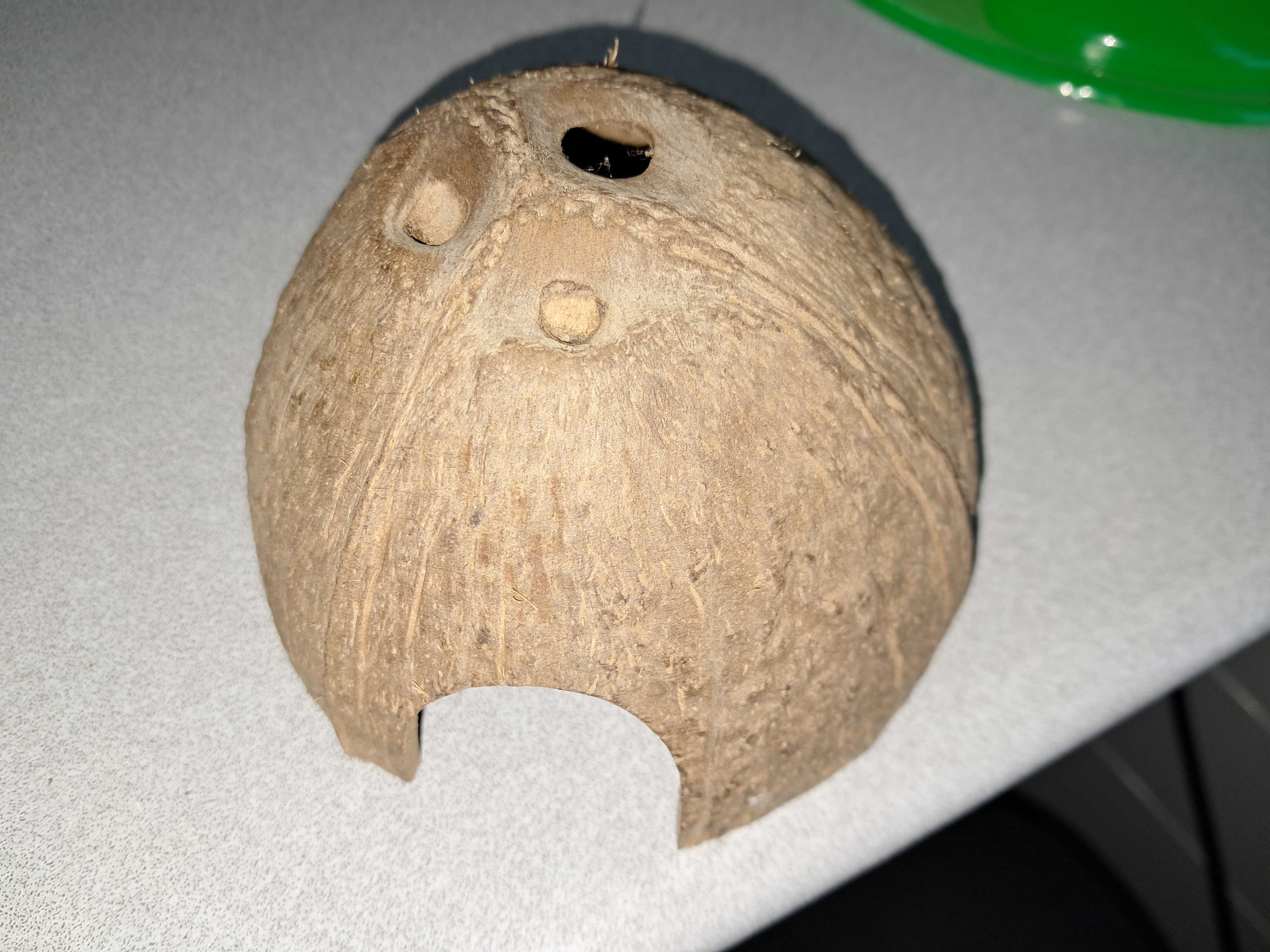 Coco para aquário