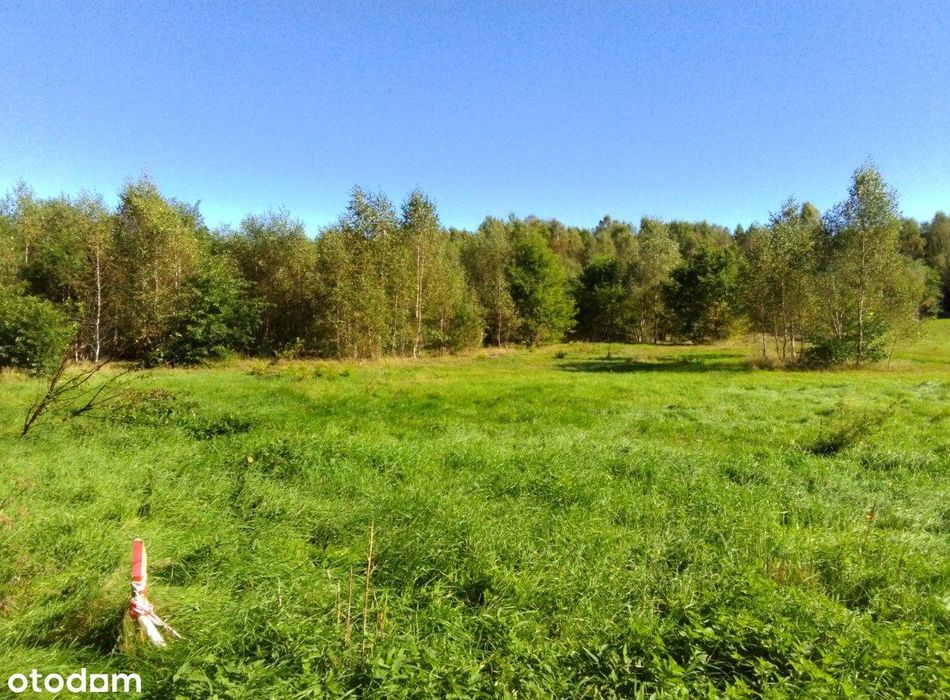 Fajna działka k. Koszalina w dobrej cenie, przyroda, niedługo WZ