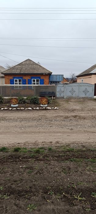 Продам будинок Павлиш