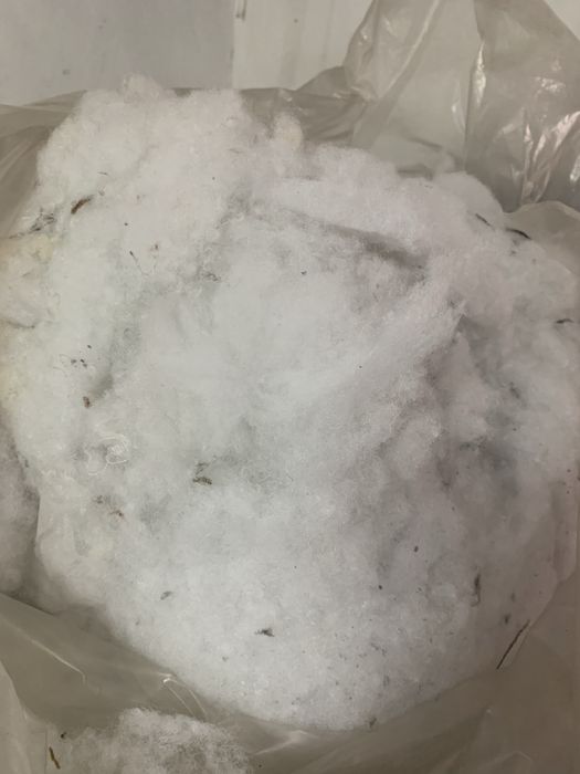 Мелений Синтепон