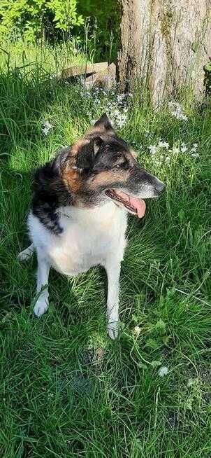 Nerunia szuka miejsca u boku Człowieka, który ją pokocha.