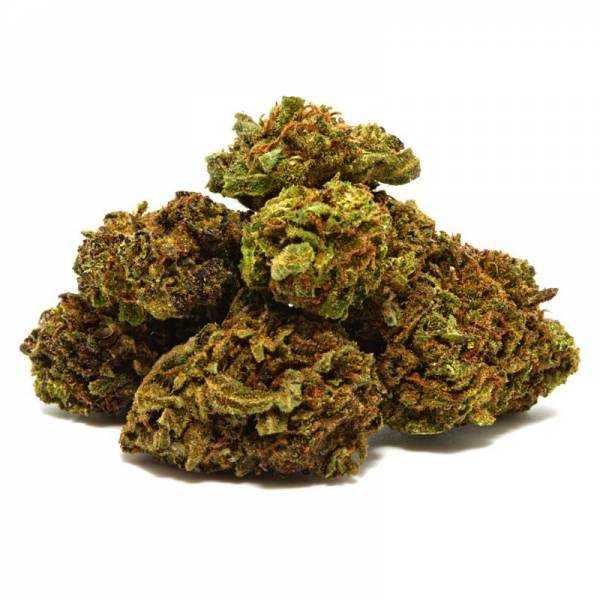 30G Susz BLUEBERRY Haze 49% Susz Konopny CBD MOC 30 GRAM naturalne