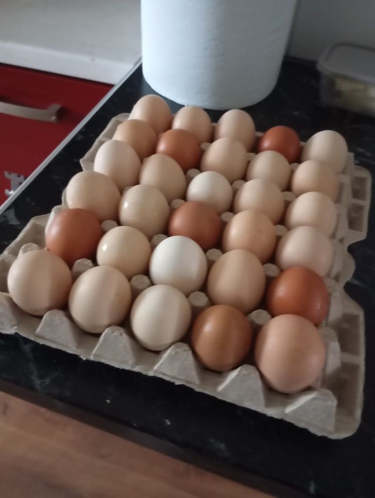 Sprzedam produkty wiejskie, jajka,kurczak rosołowy,kaczka z krwią,krew