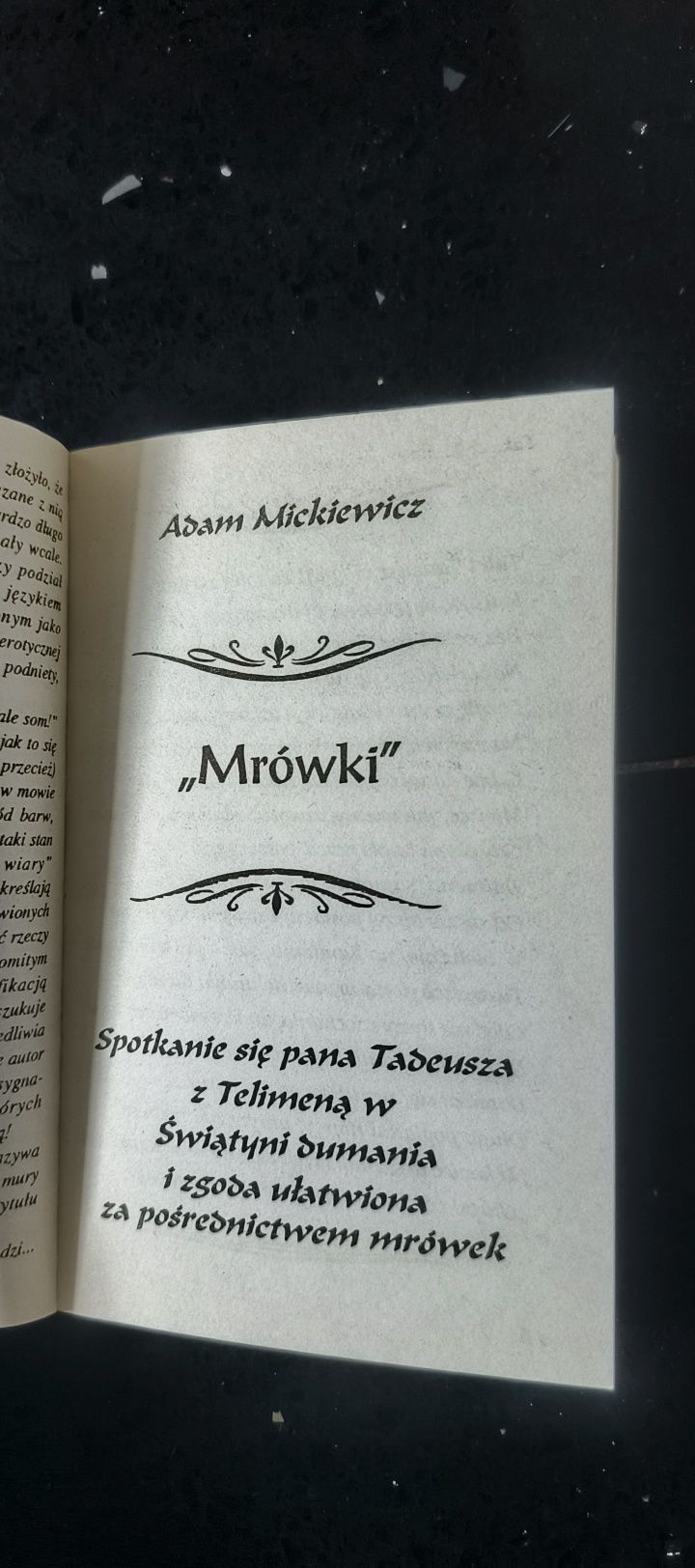 Adam Mickiewicz
Sylwester Podolski
Mrówki
Pyta nie błądzi