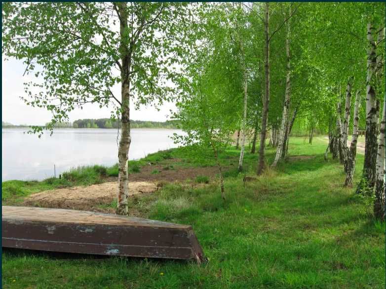 Відпочинок на озері Луки, будинок відпочинку, чиста вода, 50м пляж