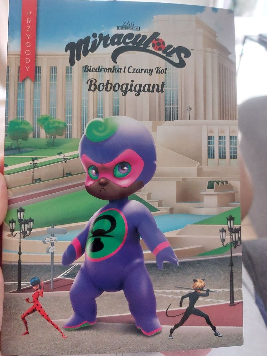 Książka Bobogigant Biedronka i czarny kot
