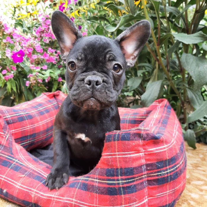 Мальчик и девочка