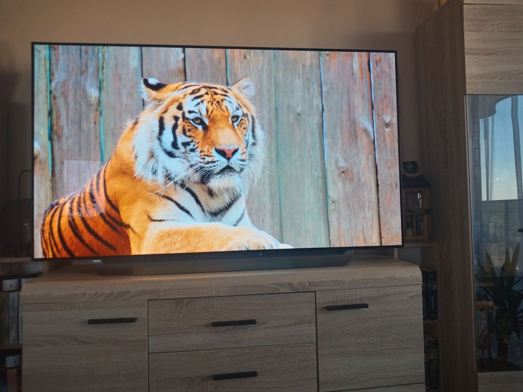 TV LG OLED 65CX 4K 120hz Premium TV