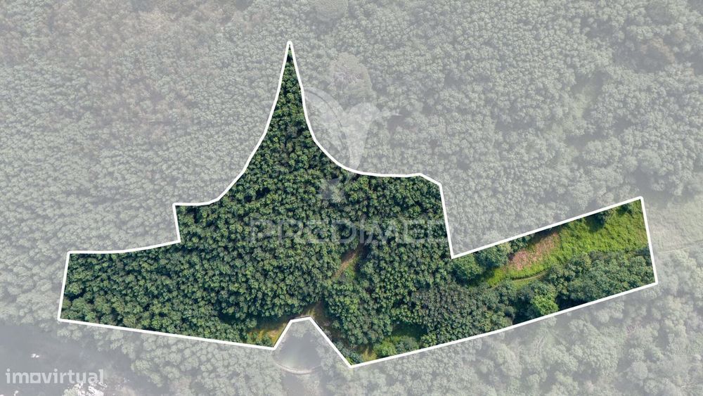 Terreno Rústico com 37.700 m² e Margem de Rio – Oportunidade Única...