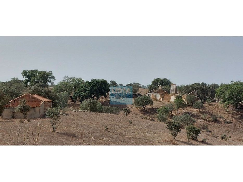 'QUINTA (15,25ha) com 3 Habitações'