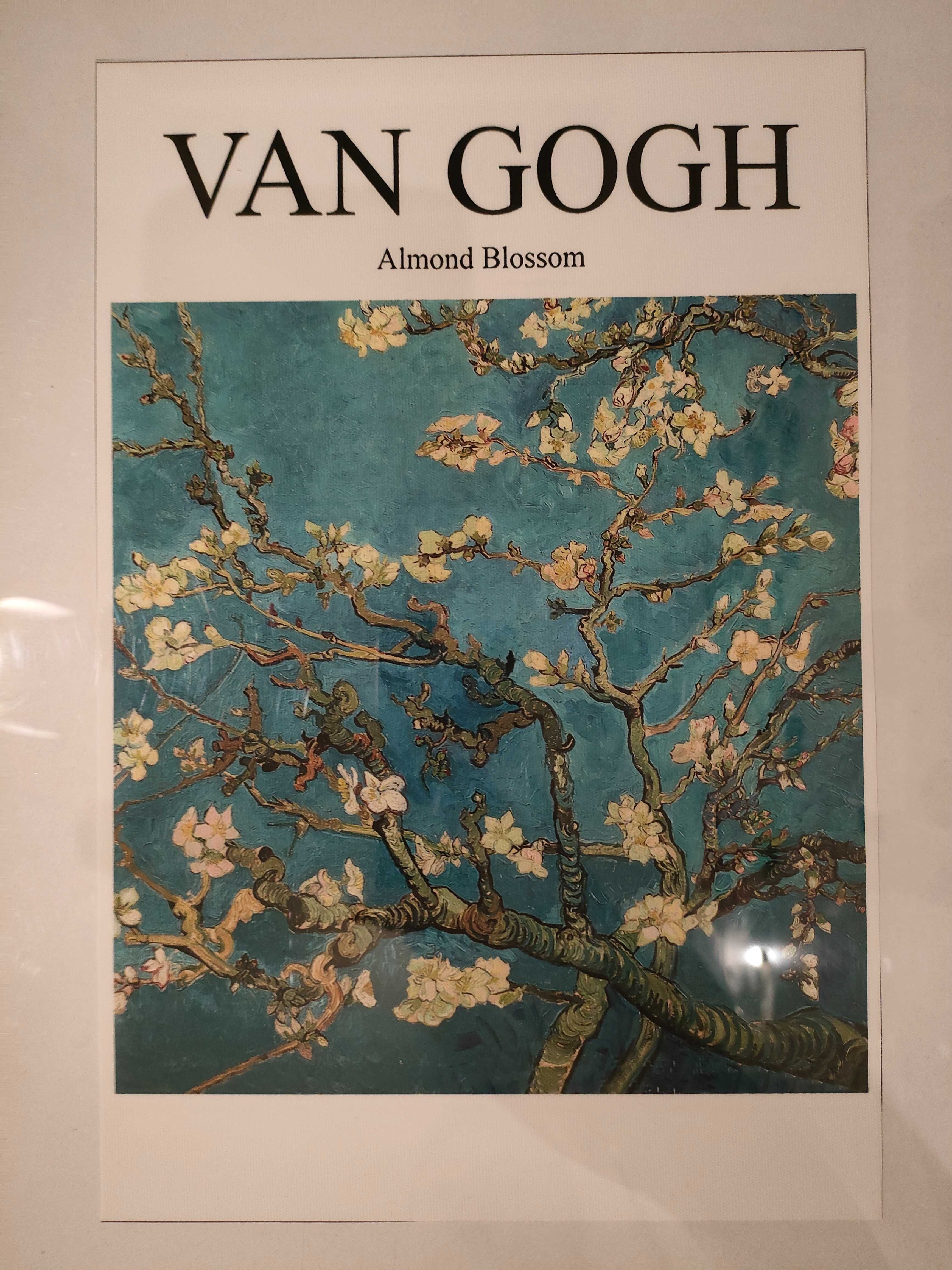 Plakat Van Gogh ,,Kwitnący migdałowiec''