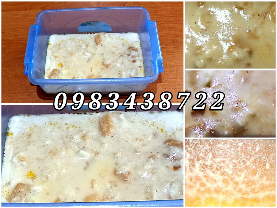 Гриндаль, нематода, пресноводная коловратка Культура Живые корма