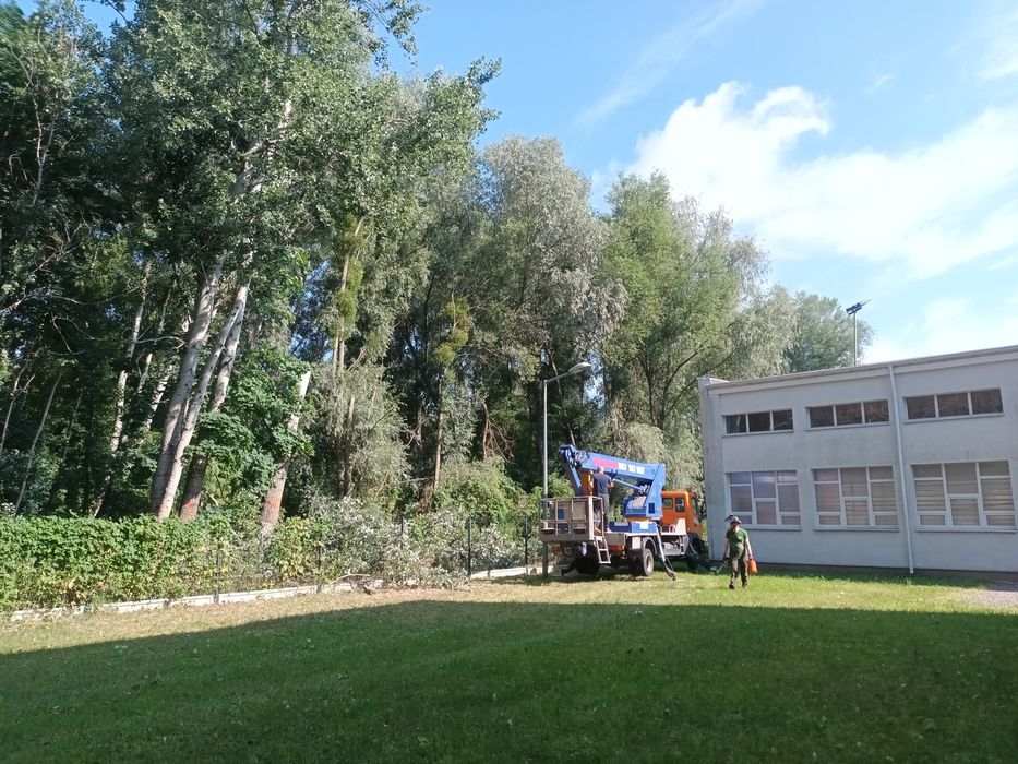 Wycinka drzew Pielęgnacja drzew i zieleni Usługi ogrodnicze