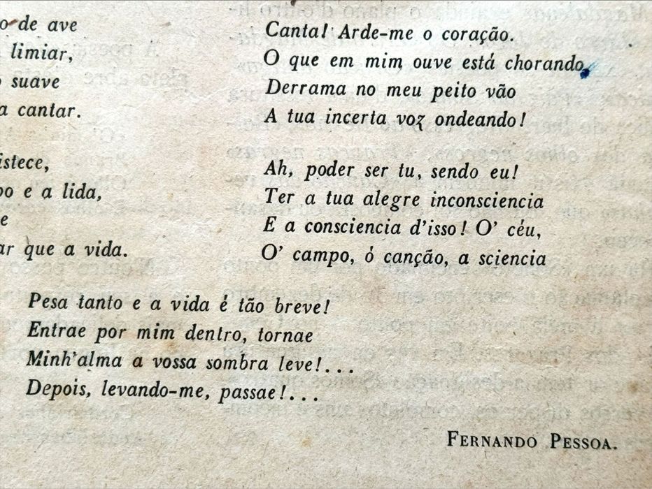 Fernando Pessoa - 1916 - “Ceifeira” - Revista Terra Nossa