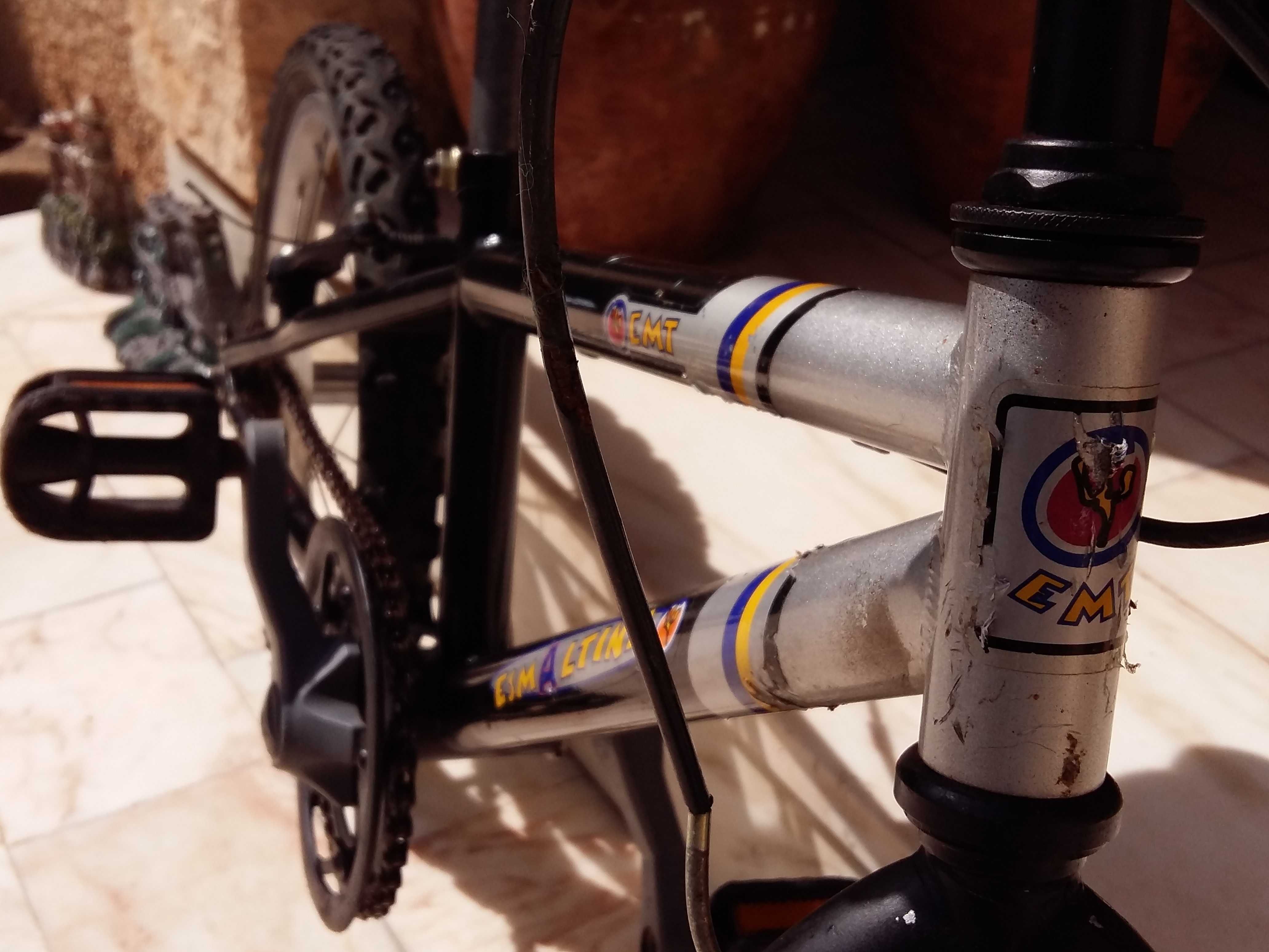 Bicicleta de Criança - Esmaltina