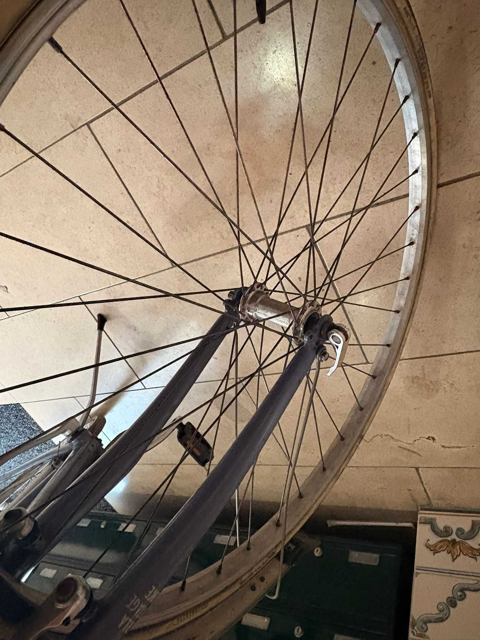 Bicicleta citadina