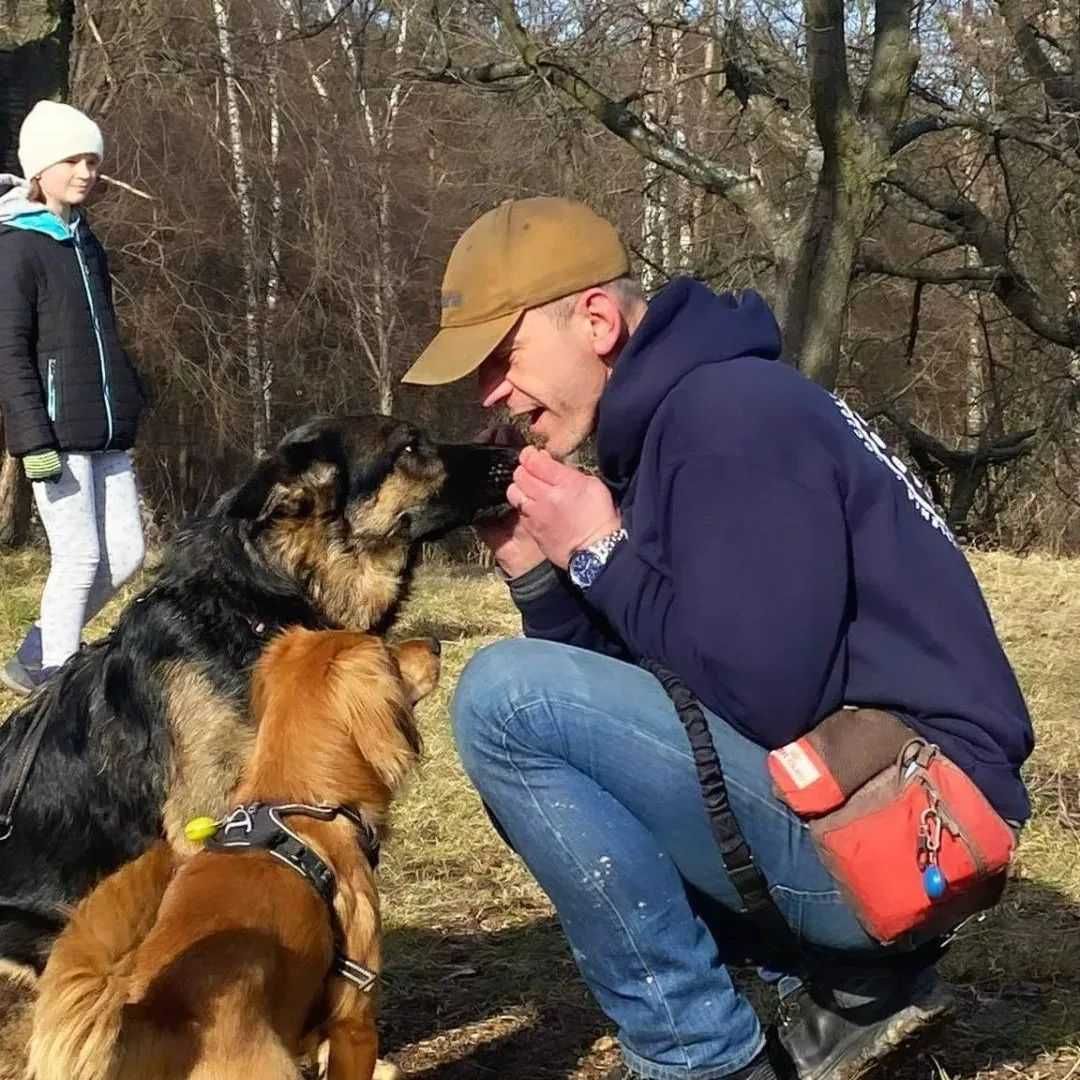 Szkolenie psów/Behawiorysta/Trener psów/Socjalizacja psów