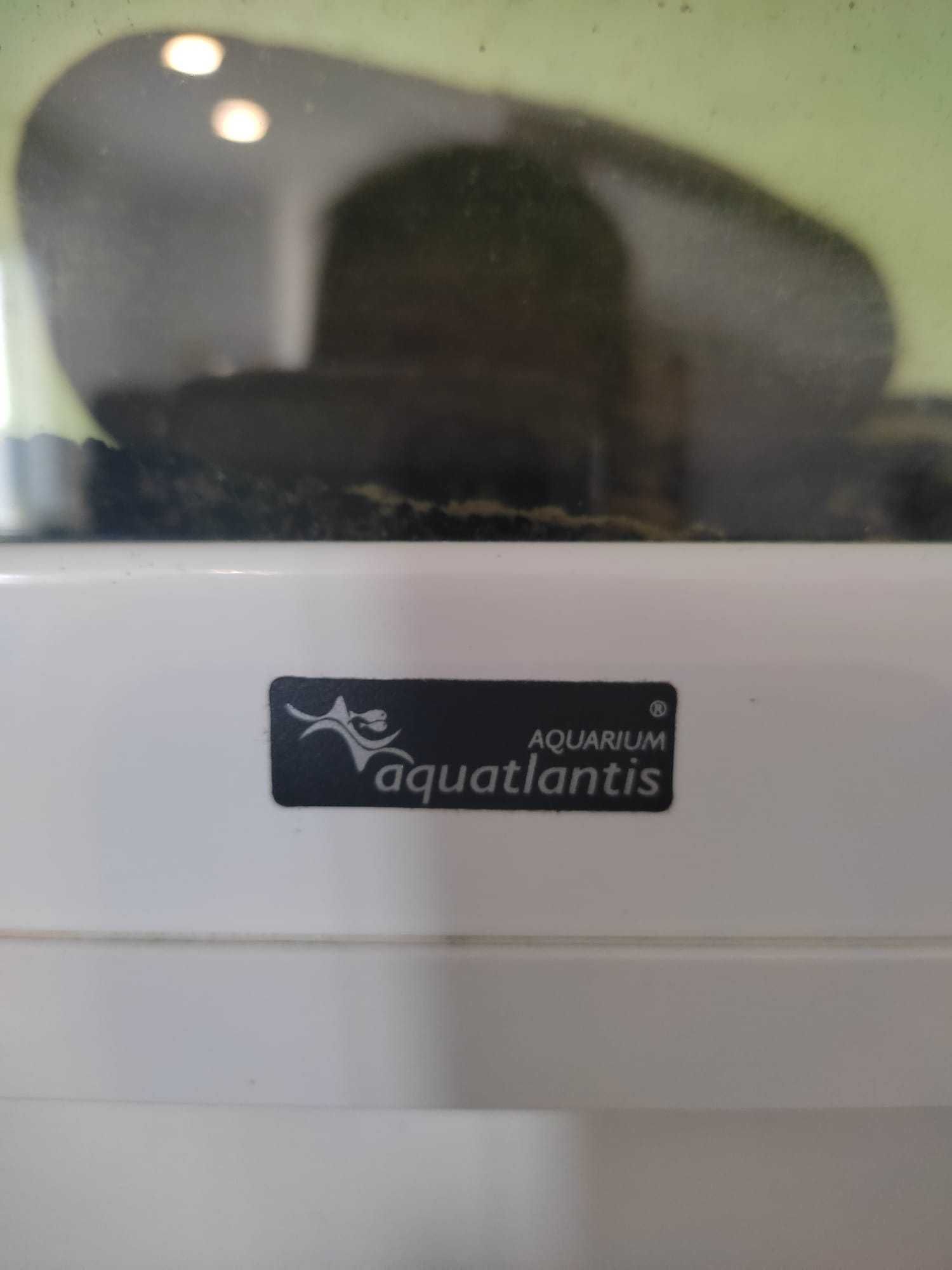 Aquário Aquatlantis Aquarium - 247 L