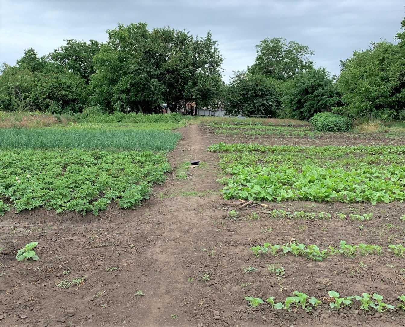 Продам  будинок  у  с. Біленьке