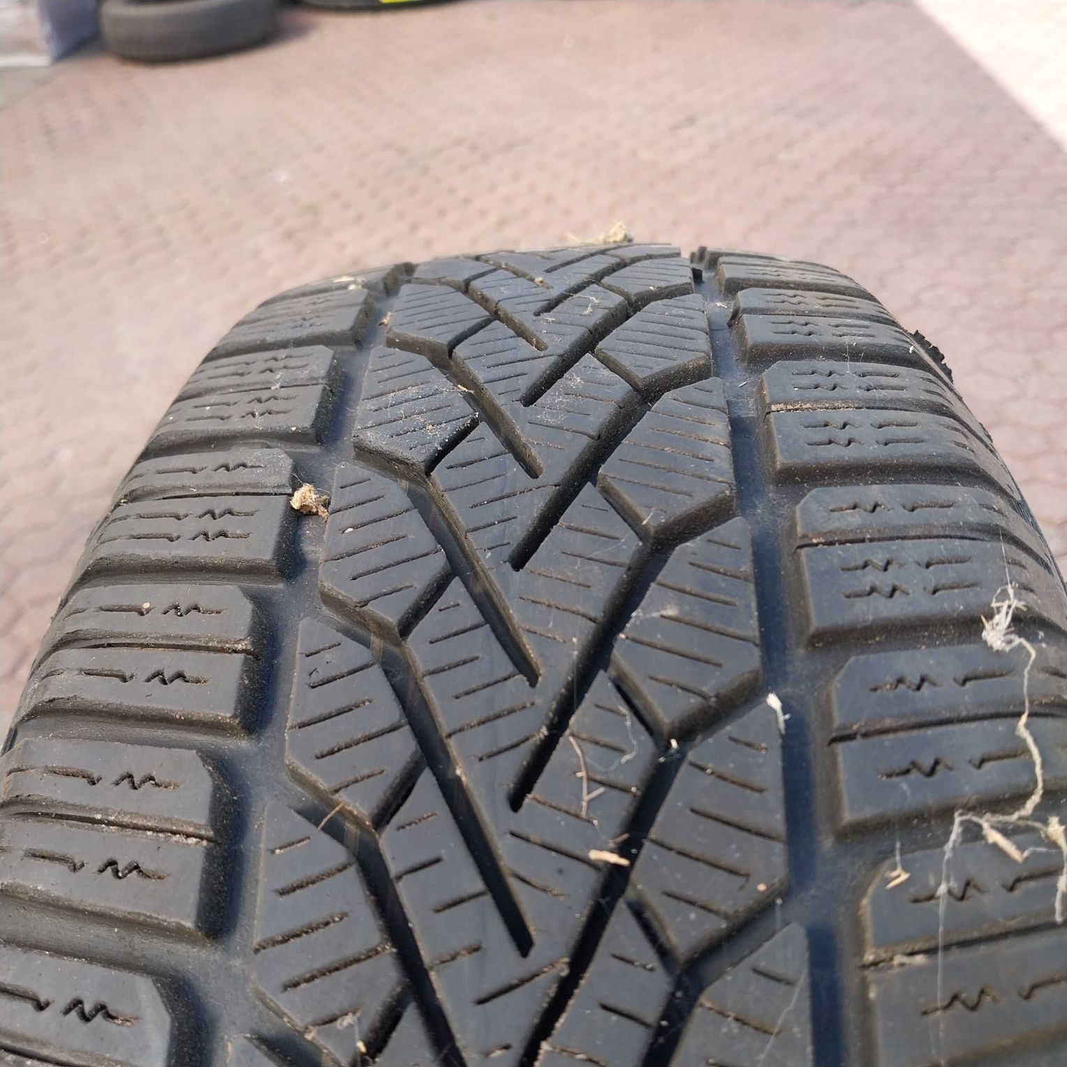 Opony Zimowe Semperit 195/65R15 91T