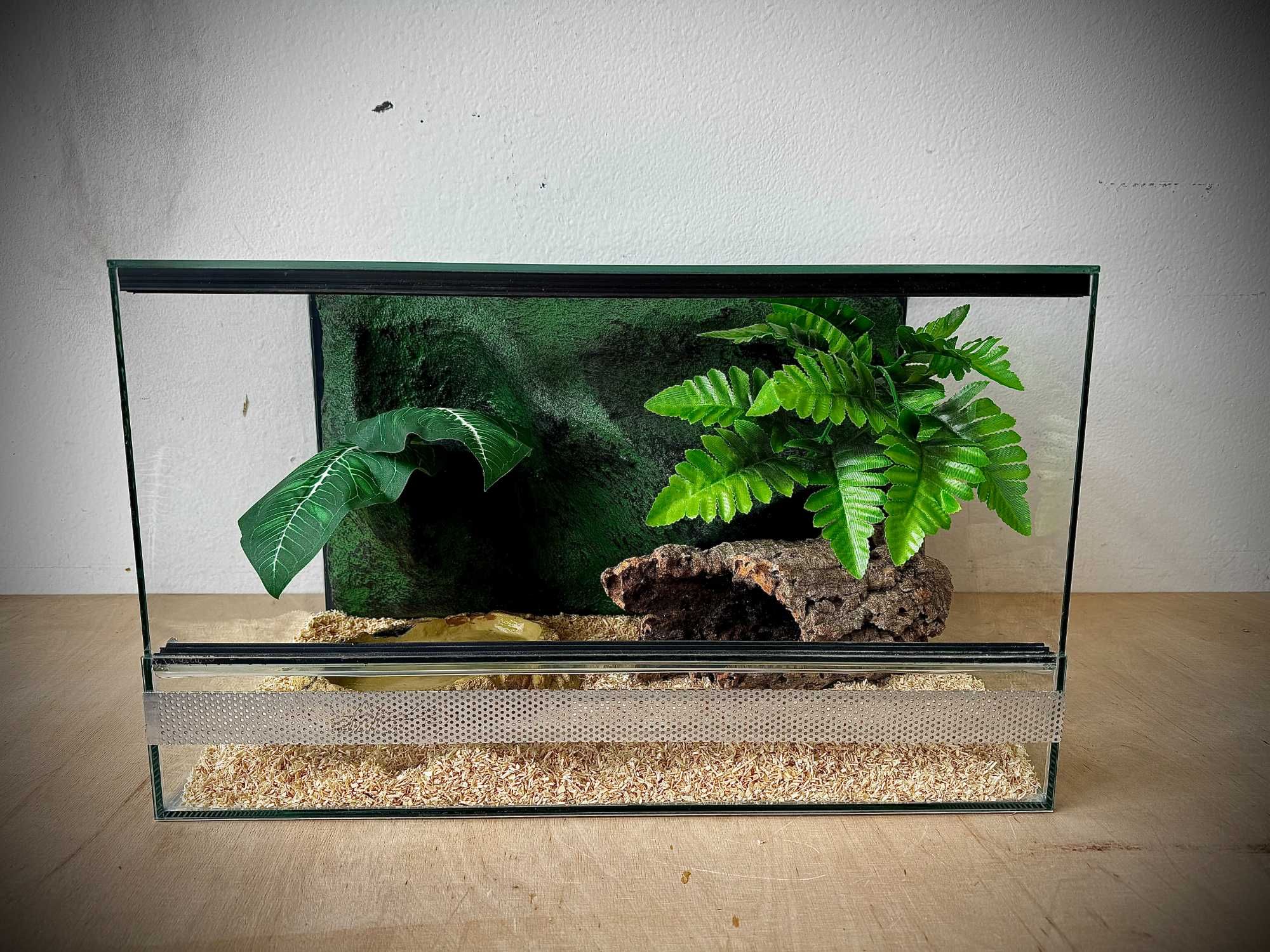 Terrarium szklane z leśnym wystrojem 50x30x30 cm. Dla węży.