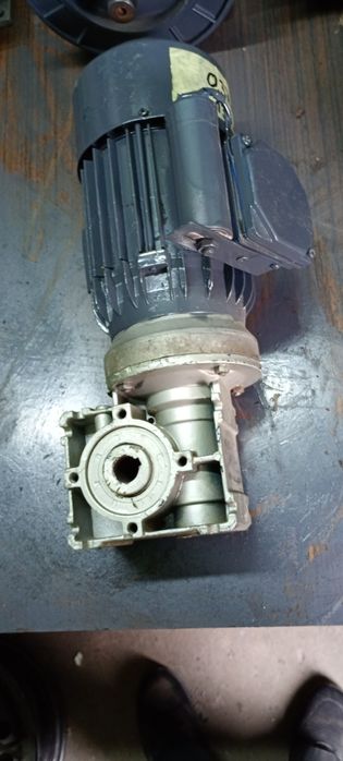 Motoreduktor.230v.