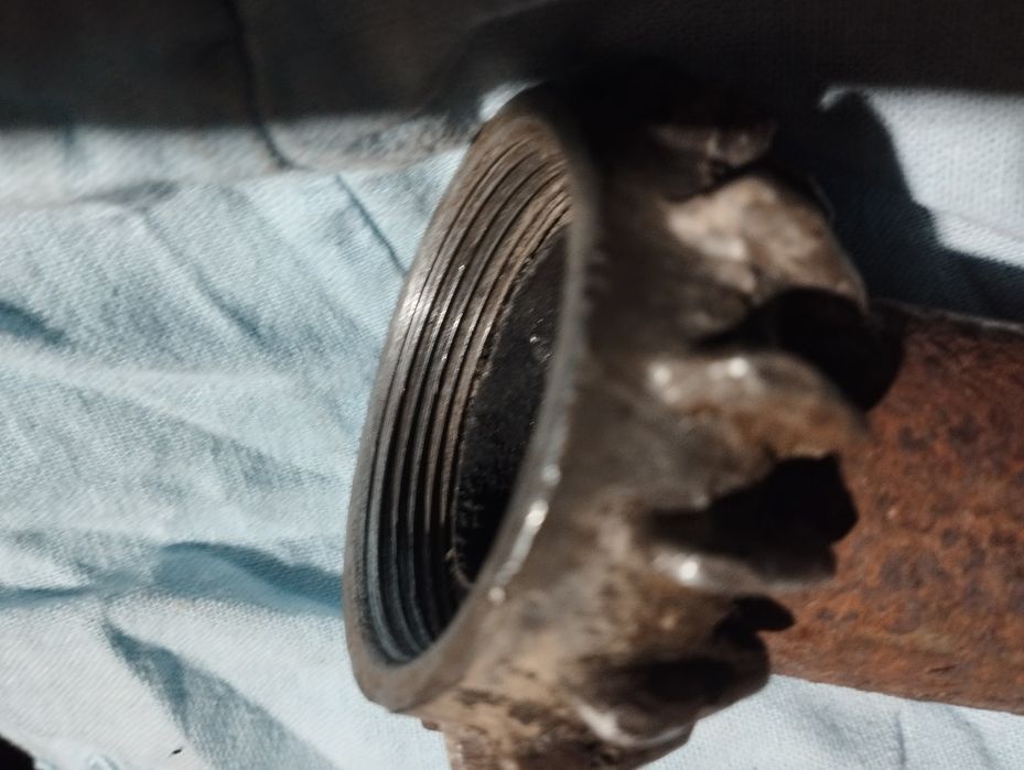 Панонія гайка глушника.