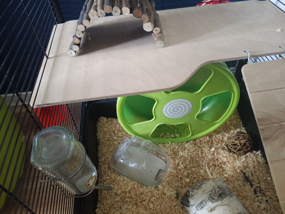 Klatka dla chomika pełne wyposażenie