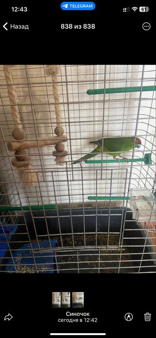 Продається велика клітка для папуги!