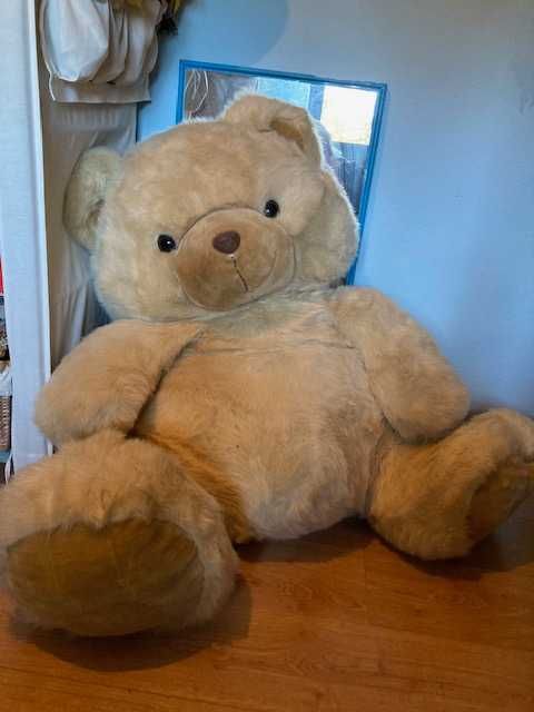 Urso amigo, protetor do vosso/a fiho/a