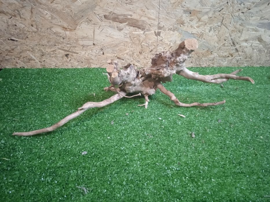 Korzeń do akwarium Red Moore Wood nr 558 o wymiarach 34/15/25