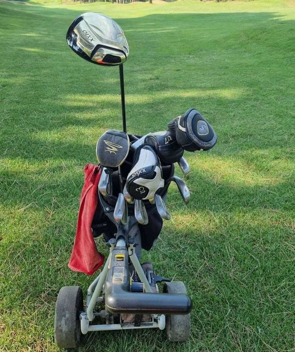 Полевица побегоносная DLF 1кг газон- лилипут семена Мітлиця насіння