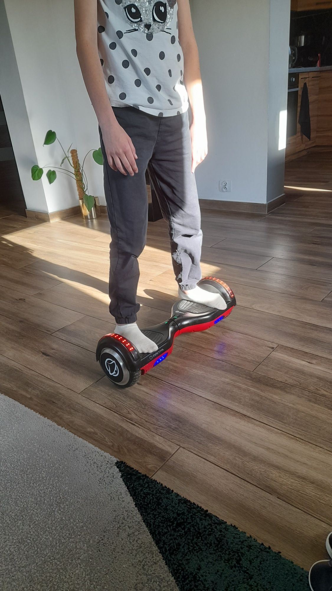 Deska elektryczna Manta